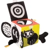 Wimmer Ferguson Learning Cube