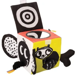 Wimmer Ferguson Learning Cube