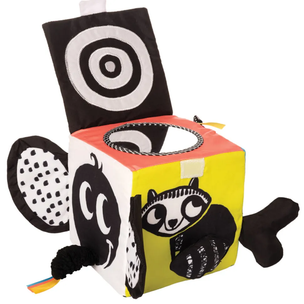 Wimmer Ferguson Learning Cube