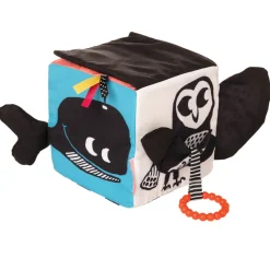 Wimmer Ferguson Learning Cube